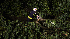 Gwałtowne burze nad regionem. W Olsztynie na mężczyznę spadło drzewo