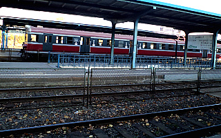 Pluskwy w pociągu relacji Olsztyn-Kraków
