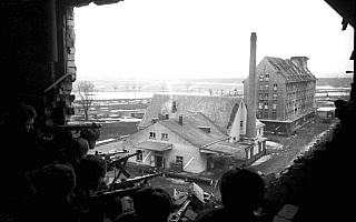 Elbląg 1945