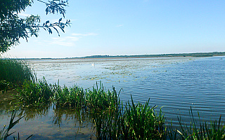Ponad 400 kg przetworów domowych wrzucono do jeziora Druzno