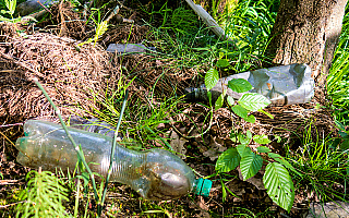 Leśnicy ostrzegają: za pozostawienie śmieci w lesie grozi kilkusetzłotowy mandat