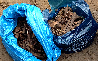 Ekshumacja szczątków ludzkich w centrum Olsztyna