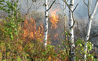 Rośnie zagrożenie pożarowe w lasach Warmii i Mazur