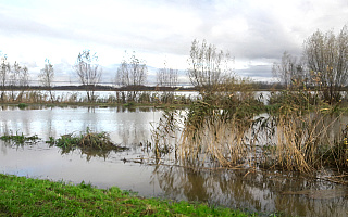 Stabilna sytuacja na Żuławach. Stan wody regularnie spada