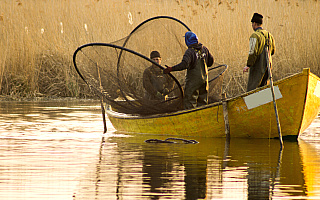 Czy sieci rybackie znikną z mazurskich jezior? Pięć akwenów ma zostać wyłączonych z komercyjnych odłowów ryb