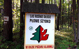 W lasach Warmii i Mazur obowiązuje najwyższy stopień zagrożenia pożarowego. Od soboty załamanie pogody i deszcz