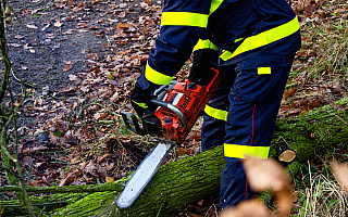 Kilkanaście interwencji strażaków w związku z silnym wiatrem. Synoptycy zalecają ostrożność i śledzenie komunikatów