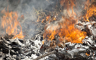 Mieszkańcy Olsztyna skarżą się na działkowców. „Palą śmieci, a my chcielibyśmy oddychać świeżym powietrzem”