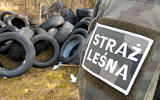 Wysypiska starych opon w lasach koło Olsztyna. Leśnicy szukają właścicieli śmieci