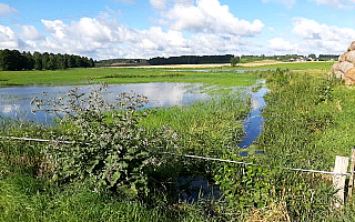 Okoliczne łąki zalane przez Łynę. Olsztyńskie starostwo zwołało sztab kryzysowy