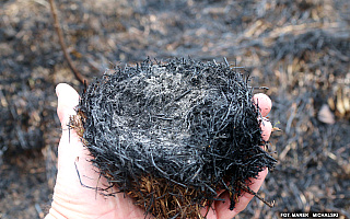 Wypalanie traw jest karalne i ma „opłakane skutki dla ekosystemu”
