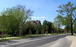 Nowe drzewa i kwiaty na olsztyńskich osiedlach. Programem nasadzeń objęte zostanie całe miasto