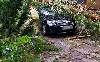 Uszkodzone samochody, powalone drzewa. Nad regionem przeszły burze