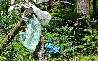 Leśnicy apelują: nie zamieniajmy lasów w wysypiska śmieci