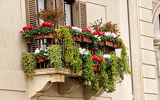 Wiosenny balkon to nie tylko kwiaty. Co warto posadzić?