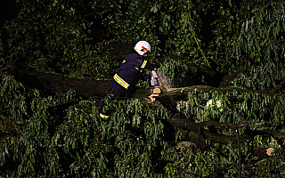Połamane drzewa, zerwane linie energetyczne. Strażacy usuwali skutki burzy