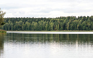Ekologiczne prace na jeziorze Gołdap. Efektem będzie krystaliczna woda