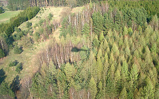 Warmińsko-mazurskie lasy pod kontrolą strażaków