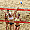 Beach Volley Tour 2024. Siatkarskie granie na plaży w Olsztynie [ZDJĘCIA]
