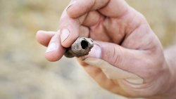 Poszukiwania na Polach Grunwaldu