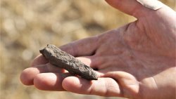 Poszukiwania na Polach Grunwaldu