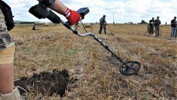 Poszukiwania na Polach Grunwaldu