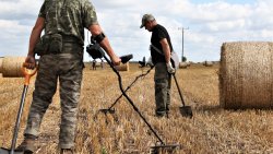 Poszukiwania na Polach Grunwaldu