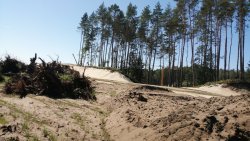 Przekop Mierzei Wiślanej