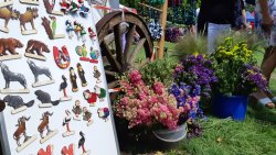 Regionalny finał konkursu \