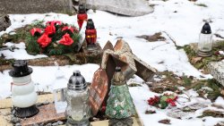 Zniszczone nagrobki na cmentarzu w Olsztynie