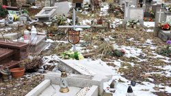 Zniszczone nagrobki na cmentarzu w Olsztynie