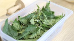 Radio do kuchni - 2 sezon [2.06.2021]