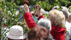 Procesja Bożego Ciała w Olsztynie