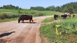 Rajd Polski Mikołajki 2021