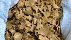 Radio od kuchni (01.09.2021)