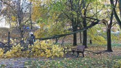 Skutki wichury nad Olsztynem (21.10.2021)