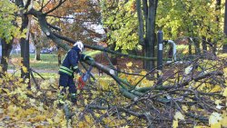 Skutki wichury nad Olsztynem (21.10.2021)