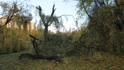 Skutki wichury nad Olsztynem (21.10.2021)