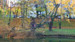 Skutki wichury nad Olsztynem (21.10.2021)