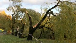 Skutki wichury nad Olsztynem (21.10.2021)