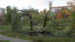Skutki wichury nad Olsztynem (21.10.2021)