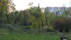 Skutki wichury nad Olsztynem (21.10.2021)