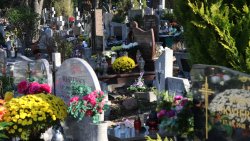 Wszystkich Świętych w Olsztynie (1.11.2021)