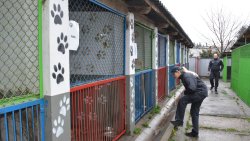 Zima z Pupilem - przekazanie darów schronisku w Iławie (24.11.2021)