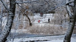 Pierwsze opady śniegu na Warmii i Mazurach (01.12.2021)