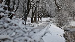 Pierwsze opady śniegu na Warmii i Mazurach (01.12.2021)