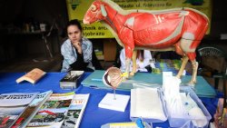 Wiosenne Targi Ogrodnicze - Pamiętajmy o ogrodach (23-24.04.2022)