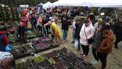 Wiosenne Targi Ogrodnicze - Pamiętajmy o ogrodach (23-24.04.2022)