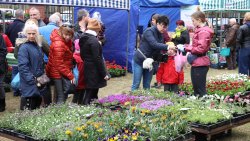 Wiosenne Targi Ogrodnicze - Pamiętajmy o ogrodach (23-24.04.2022)