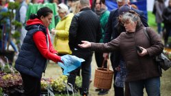 Wiosenne Targi Ogrodnicze - Pamiętajmy o ogrodach (23-24.04.2022)